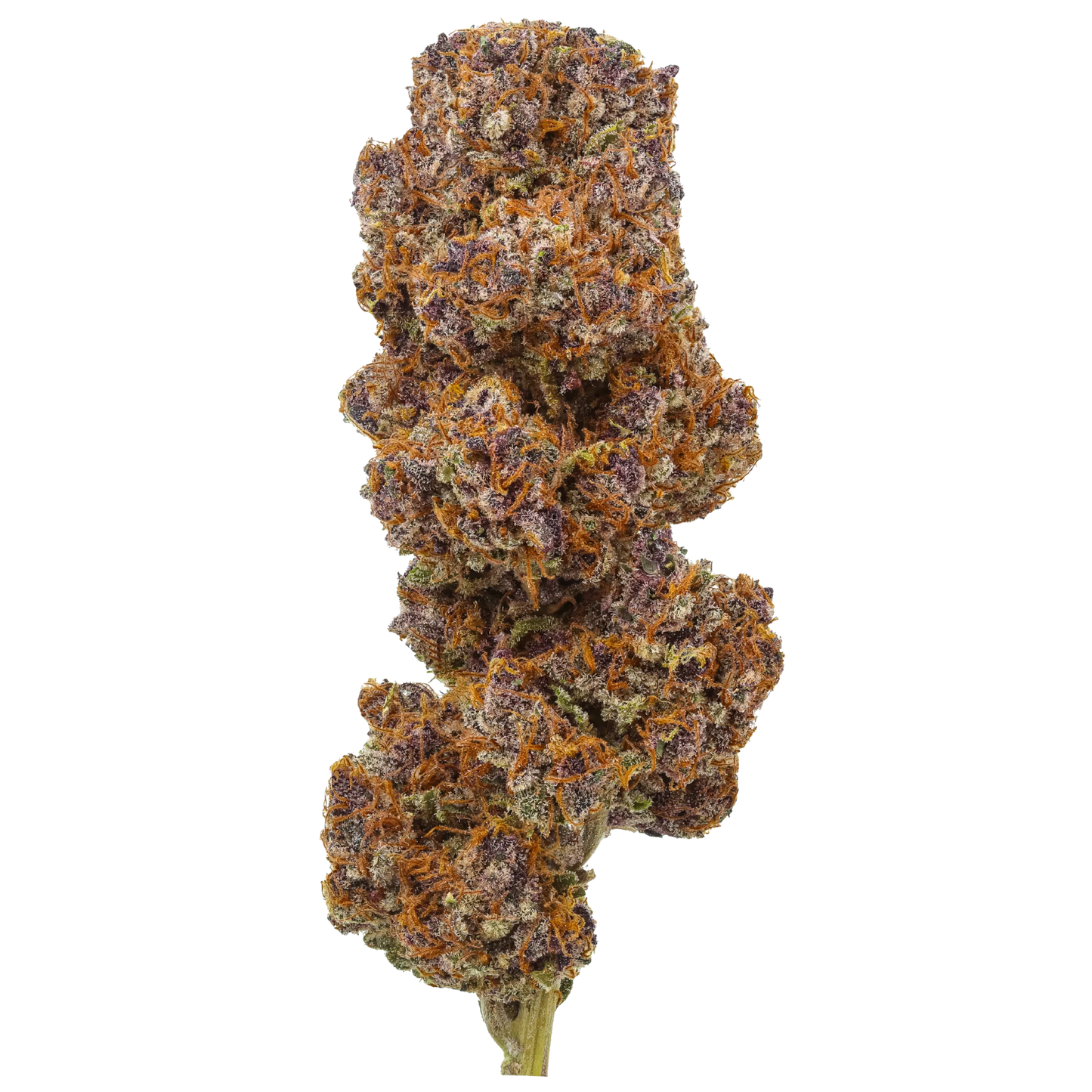 Daiquiri Factory (Type 3), 14.248% Total CBD/0.836% THCa (<0.3% Delta-9 THC) (Coming soon…)
