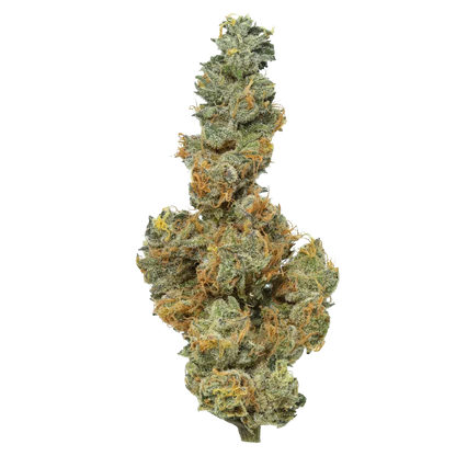 Applesauce (Type 3 strain) [Smalls], 19.211% Total CBD/0.958% THCa (Coming soon…)