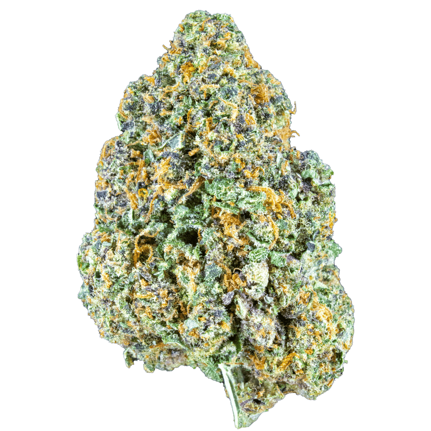Dr. Theopolis [Smalls] (Indica) (Type 2), 11.716% THCa/11.680% CBDa, 25.148% Total Cannabinoids (<0.3% Delta-9 THC)