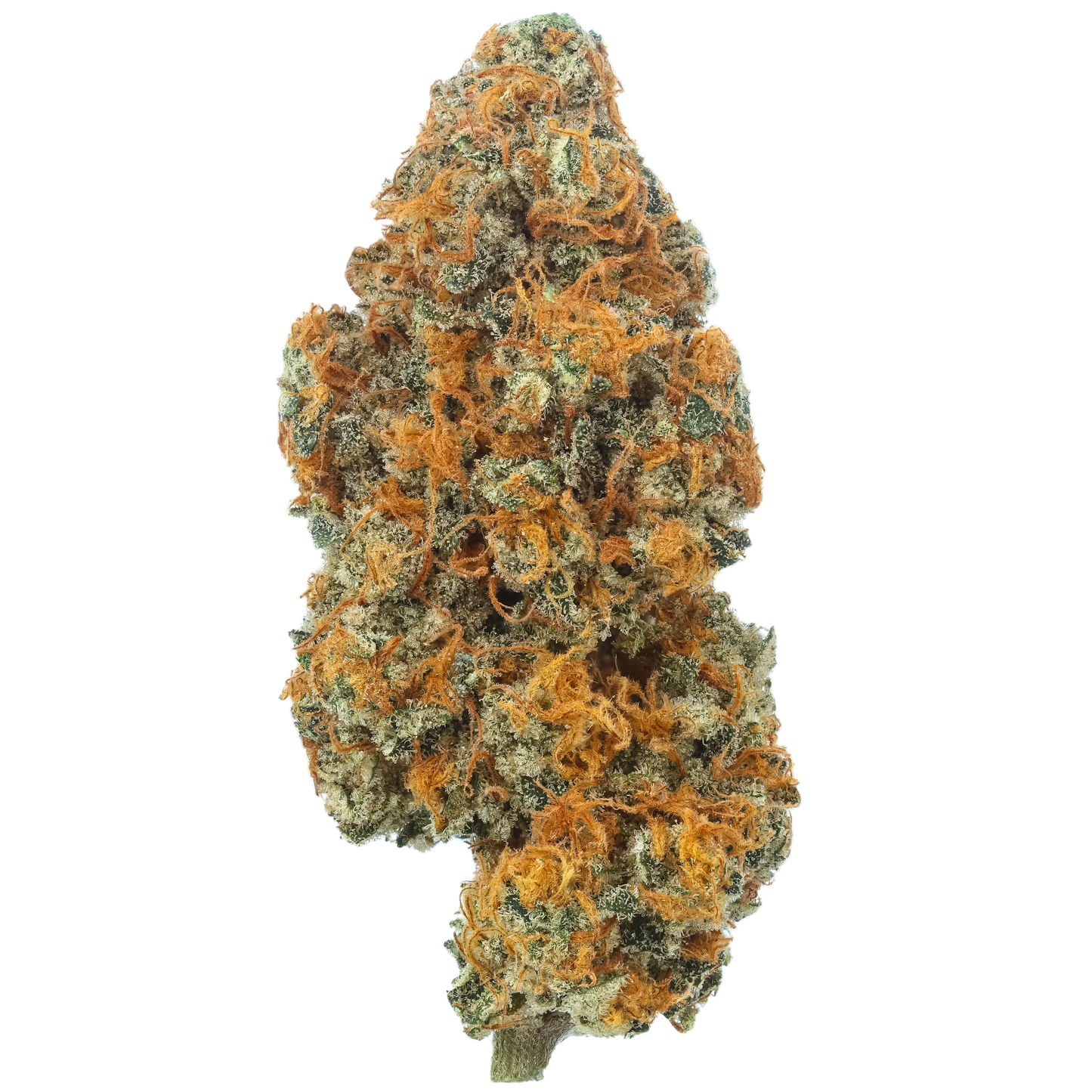 Strawberry Lemon Kush (Hybrid) (Type 3), 25.16% Total CBD, (<0.3% Delta-9 THC)