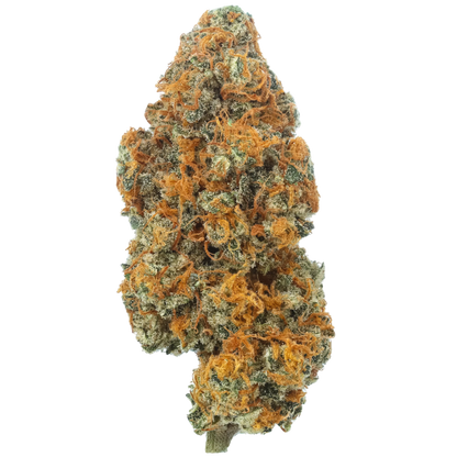 Strawberry Lemon Kush (Hybrid) (Type 3), 25.16% Total CBD, (<0.3% Delta-9 THC)