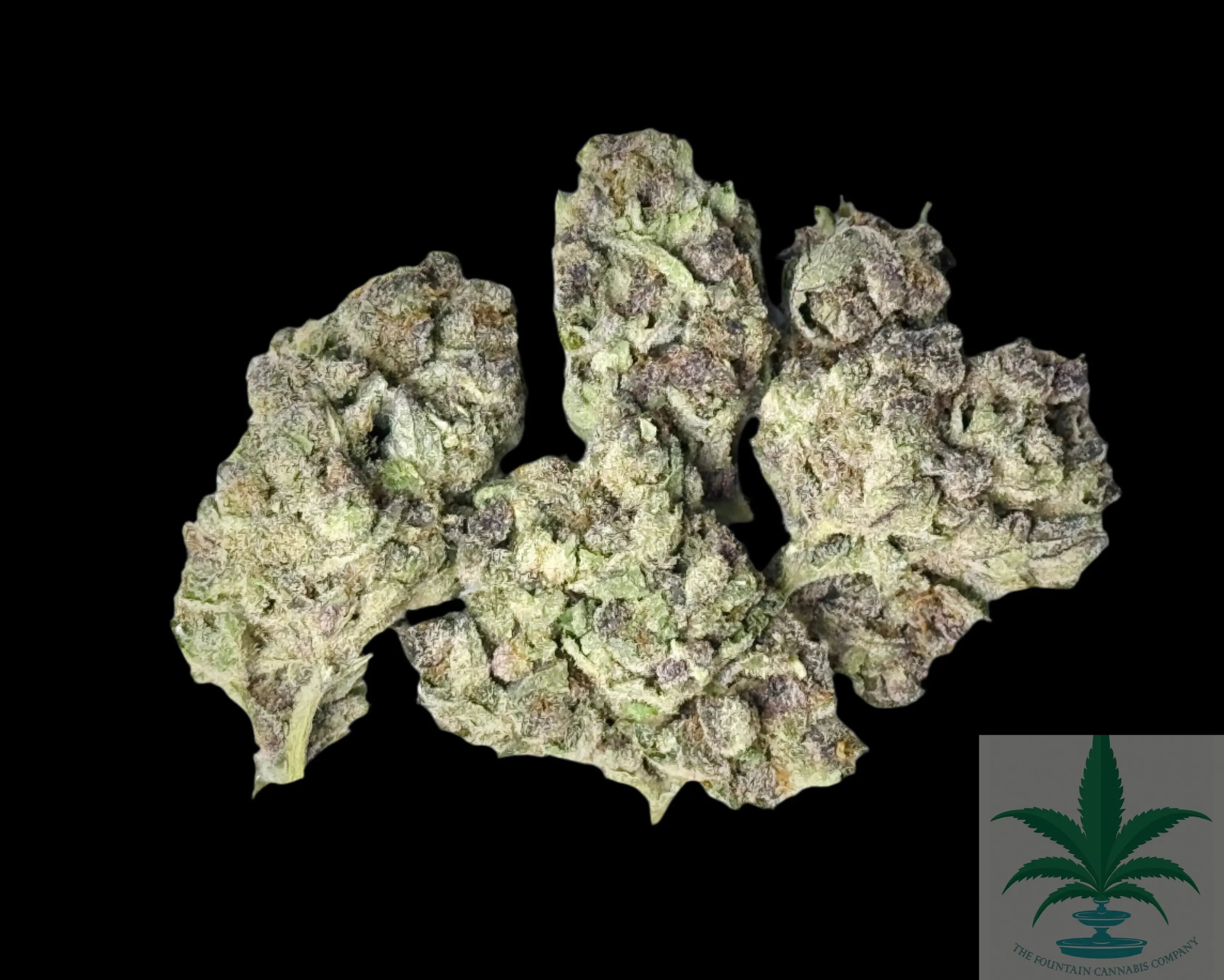 No Drama Llama (Indica), 24.89% THCA