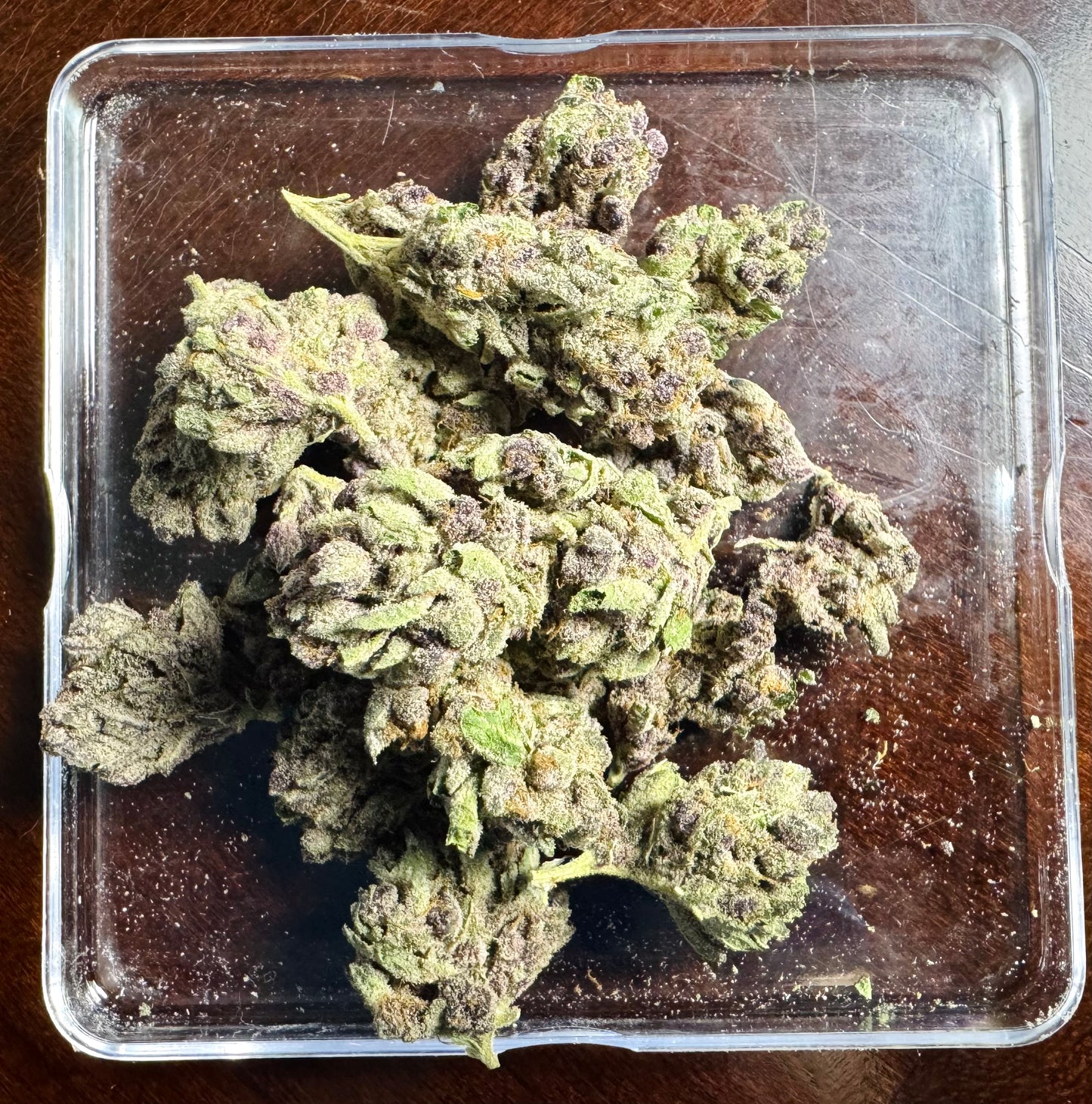 No Drama Llama (Indica), 24.89% THCA