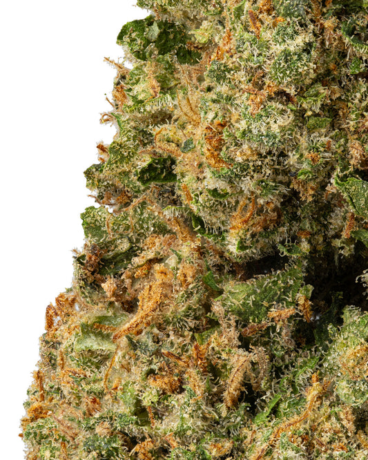 Durban Poison [smalls] (Sativa), 27.717% THCa, (<0.3% Delta-9 THC) (Coming Soon...)
