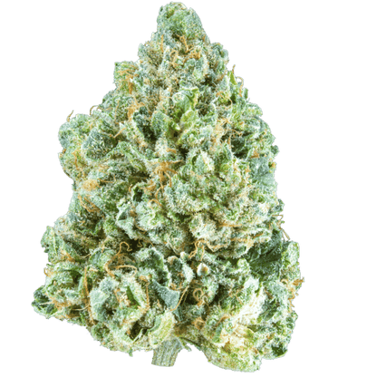 Flyin' Orion [smalls] (Indica) (Type 2), 7.23% THCa/12.4% CBDa, 21.29% Total Cannabinoids, (<0.3% Delta-9 THC) (COMING SOON...)